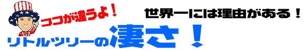 ココが違うよ!リトルツリーの凄さ!
